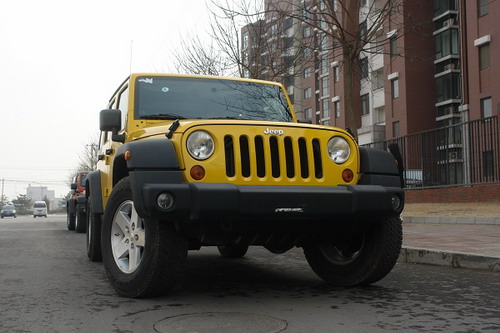 2009 乘用车 新车上市